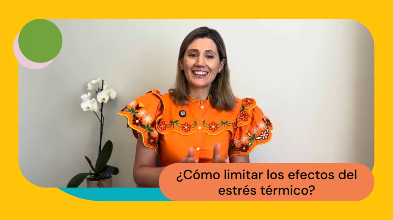 Olas de calor y salud mental: cómo afectan las altas temperaturas al cerebro, las emociones y el rendimiento cognitivo